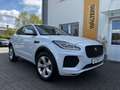 Jaguar E-Pace E-PACE R-Dynamic S AWD = Automatik - Ahk Weiß - thumbnail 1