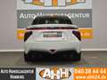Toyota Mirai H2 FUELCELL WASSERSTOFF LEDER|DAB|ACC|1H!! Белый - thumbnail 9