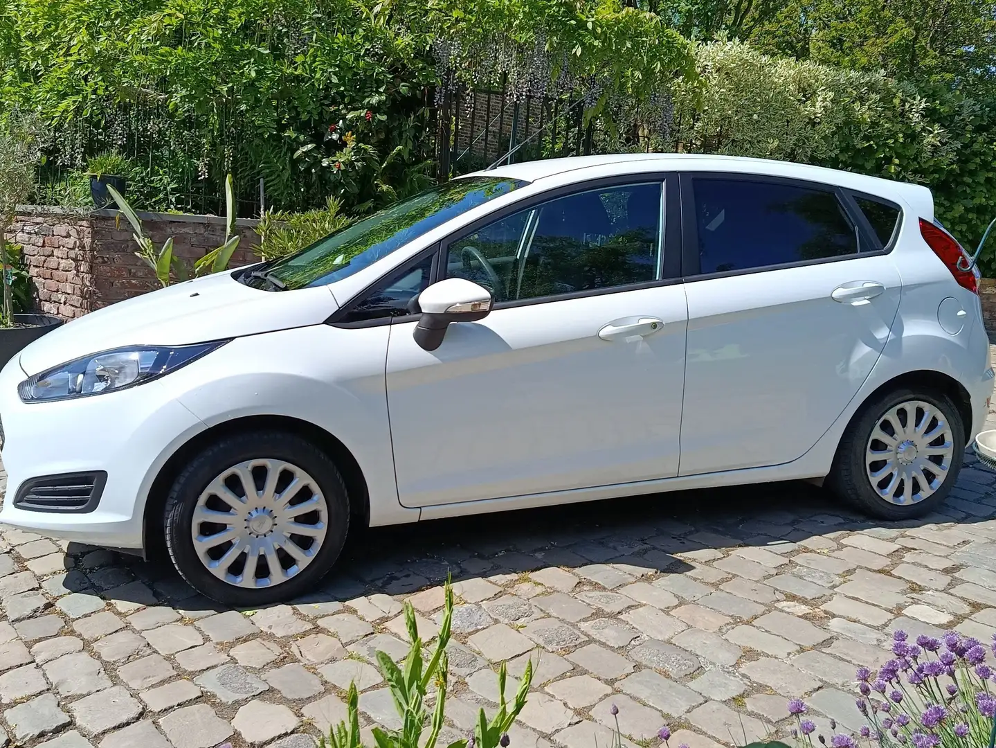 Ford Fiesta Fiesta 1.0i Trend Wit - 1