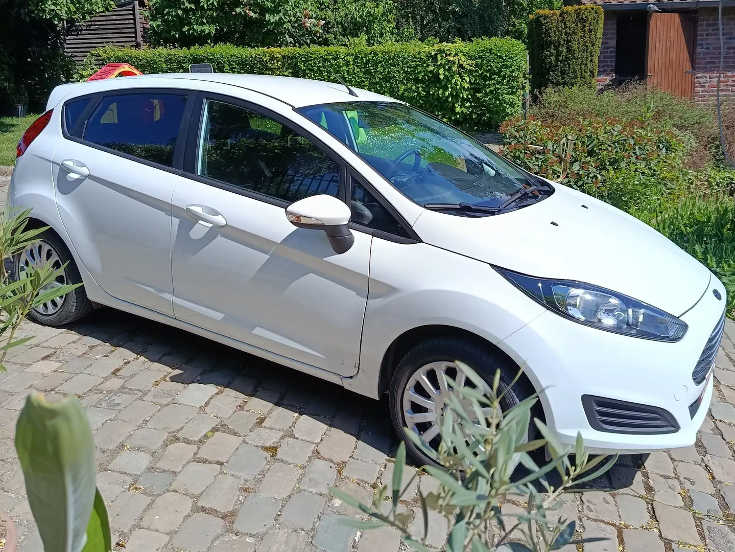Ford Fiesta Fiesta 1.0i Trend Wit - 2