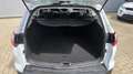 Ford Focus Wagon 1.0 EcoBoost Titanium I AIRCO I TREKHAAK Wit - thumbnail 17