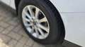 Ford Focus Wagon 1.0 EcoBoost Titanium I AIRCO I TREKHAAK Wit - thumbnail 8
