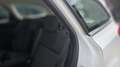 Ford Focus Wagon 1.0 EcoBoost Titanium I AIRCO I TREKHAAK Wit - thumbnail 18