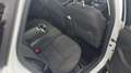 Ford Focus Wagon 1.0 EcoBoost Titanium I AIRCO I TREKHAAK Wit - thumbnail 23