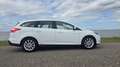 Ford Focus Wagon 1.0 EcoBoost Titanium I AIRCO I TREKHAAK Wit - thumbnail 3