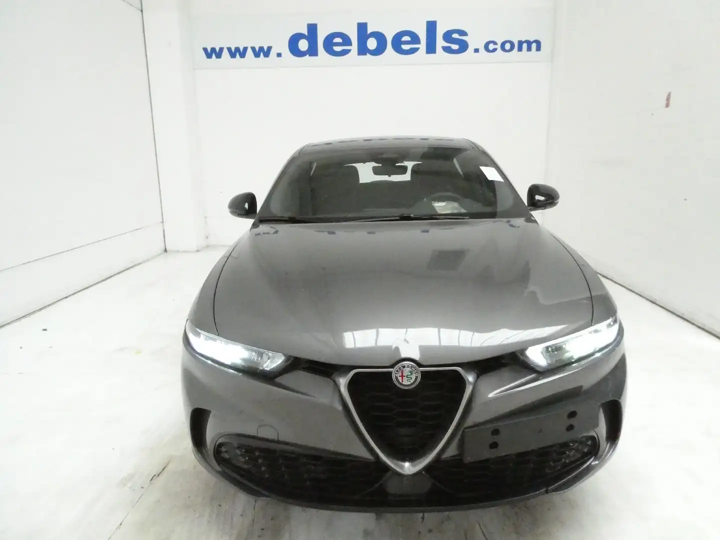 Alfa Romeo Tonale 1.6d Grigio - 1