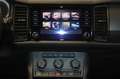 Skoda Kodiaq 2.0 TDI Active-7Si.-Navi-AHK-LED-SHZ-PDC- Nero - thumbnail 16