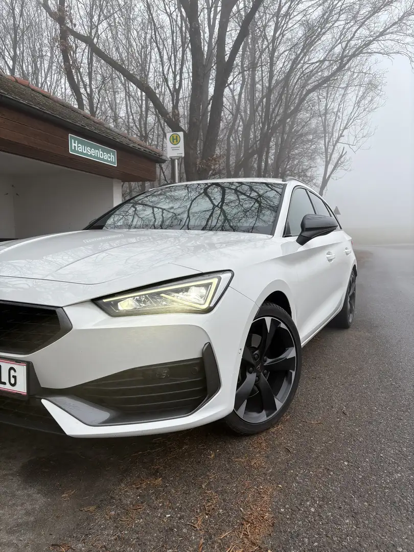 CUPRA Leon SP Kombi Alpha 2.0 TDI DSG 150 - 2