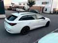 CUPRA Leon SP Kombi Alpha 2.0 TDI DSG 150 - thumbnail 4