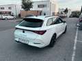 CUPRA Leon SP Kombi Alpha 2.0 TDI DSG 150 - thumbnail 2