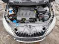 Skoda Roomster Scout Plus Edition 1.6 TDI Motorschaden Beige - thumbnail 15