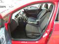 Volkswagen Golf 1.0 TSI Edition 85kW Rouge - thumbnail 7