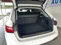 Audi A4 Avant 35 TFSI 2.0 *1.HAND*8-FACH*LED*ALU*TOP Blanc - thumbnail 7