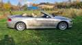 BMW 645 Baureihe 6 Cabrio 645 CI Zilver - thumbnail 14