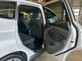 Ford C-Max Titanium *AHK*Klima*Kamera*DAB*Panorama* White - thumbnail 30