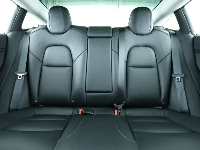 Tesla Model 3 view 14