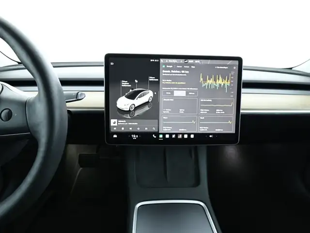 Tesla Model 3 view 11