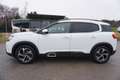 Citroen C5 Aircross BlueHDI 130 S&S Shine EAT8 Aut. Weiß - thumbnail 3