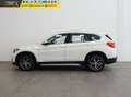 BMW X1 xdrive18d xLine 150cv AUTOMATICA 4x4 Bianco - thumbnail 8