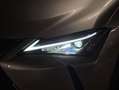 Lexus UX 250h 2.0 Business Plateado - thumbnail 19
