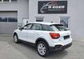 Audi Q2 Q2 35 TDI quattro S-tronic Weiß - thumbnail 2