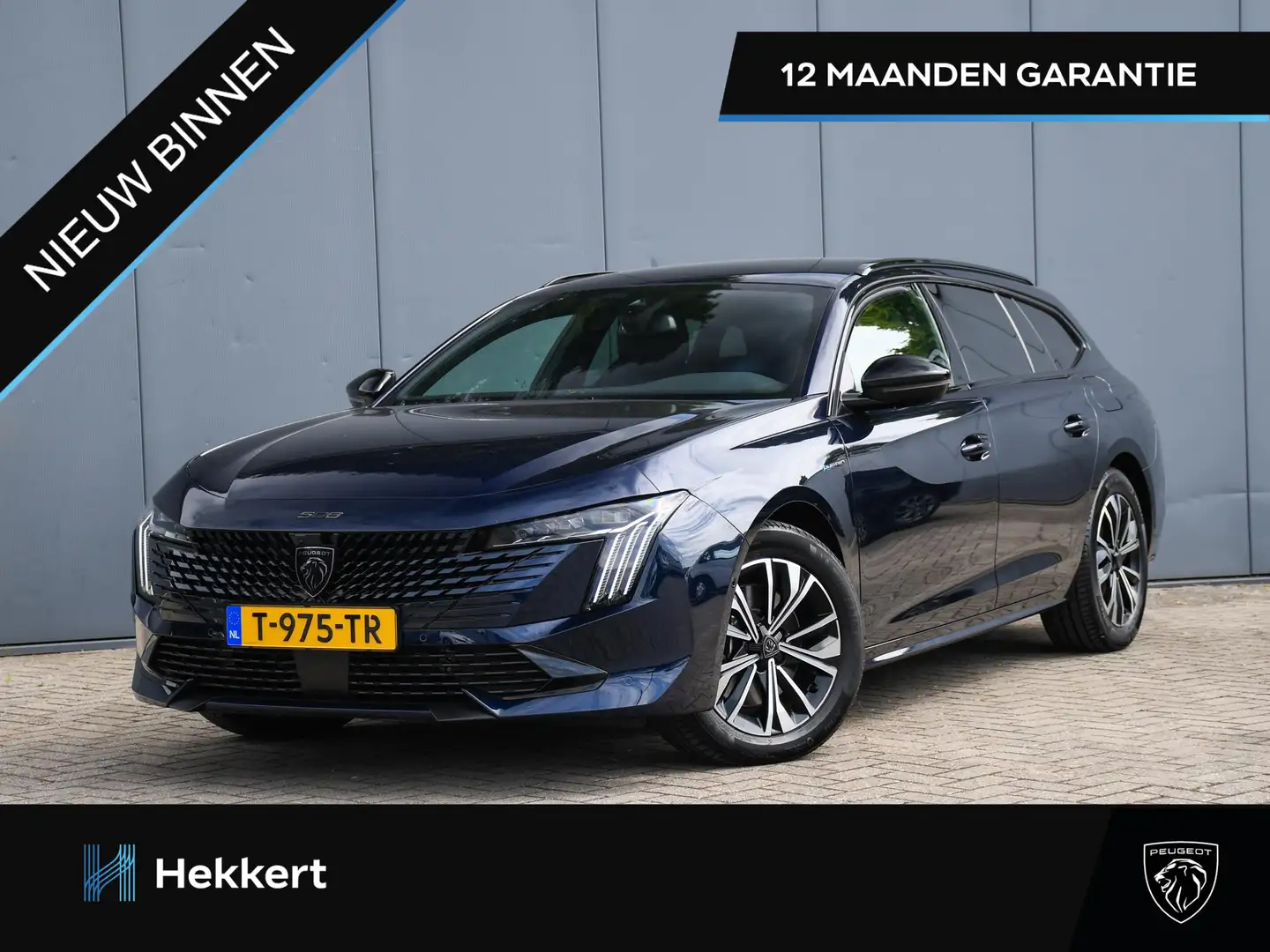 Peugeot 508 SW Allure 1.6 PHEV 180pk Automaat PDC + 360° CAMER Blauw - 1