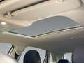 Volkswagen Polo 1.0 TSI Style DSG Navi Pano Kamera CarPlay Weiß - thumbnail 15
