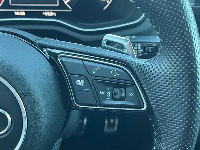 Audi RS4 Avant 2,0 TFSI quattro tiptronic Ansicht 25
