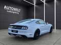 Ford Mustang GT 5.0 V8 Fastback Deutsch-Unfallfrei Blanc - thumbnail 5