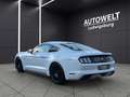 Ford Mustang GT 5.0 V8 Fastback Deutsch-Unfallfrei Blanc - thumbnail 7