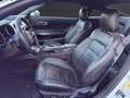 Ford Mustang GT 5.0 V8 Fastback Deutsch-Unfallfrei Blanc - thumbnail 9