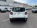 Jeep Renegade 1.0 T3 120cv Longitude Bianco - thumbnail 4