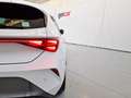 CUPRA Leon 1.5 TSI 110 Blanc - thumbnail 13