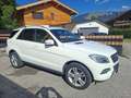 Mercedes-Benz ML 350 ML 350 BlueTEC 4MATIC Aut. DPF Weiß - thumbnail 3