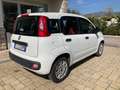 Fiat Panda 1.2 Easy Bianco - thumbnail 3
