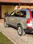 Volvo XC90 2.4 d5 Executive 185cv auto - thumbnail 2