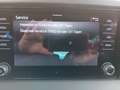 Skoda Karoq Selection AHZV Klima LED Sitzheizung DAB Gris - thumbnail 12
