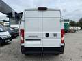 Fiat Ducato KASTENWAGEN 35 L3H2 140 MT 6E Blanc - thumbnail 5