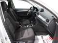 Audi Q3 Q3 2.0 TDI 150 CV quattro S tronic Business Bianco - thumbnail 6