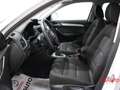 Audi Q3 Q3 2.0 TDI 150 CV quattro S tronic Business Bianco - thumbnail 5