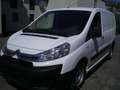 Citroen Jumpy  AHK Tüv 6/27 Netto 6700 Weiß - thumbnail 2