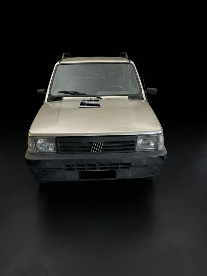 Fiat Panda 4x4 Trekking, foto 2