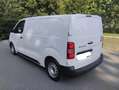 Fiat Scudo (PC) L2H1 1.5 BLUEHDI 120CV COIBENTATO ISOTERMICO Bianco - thumbnail 4