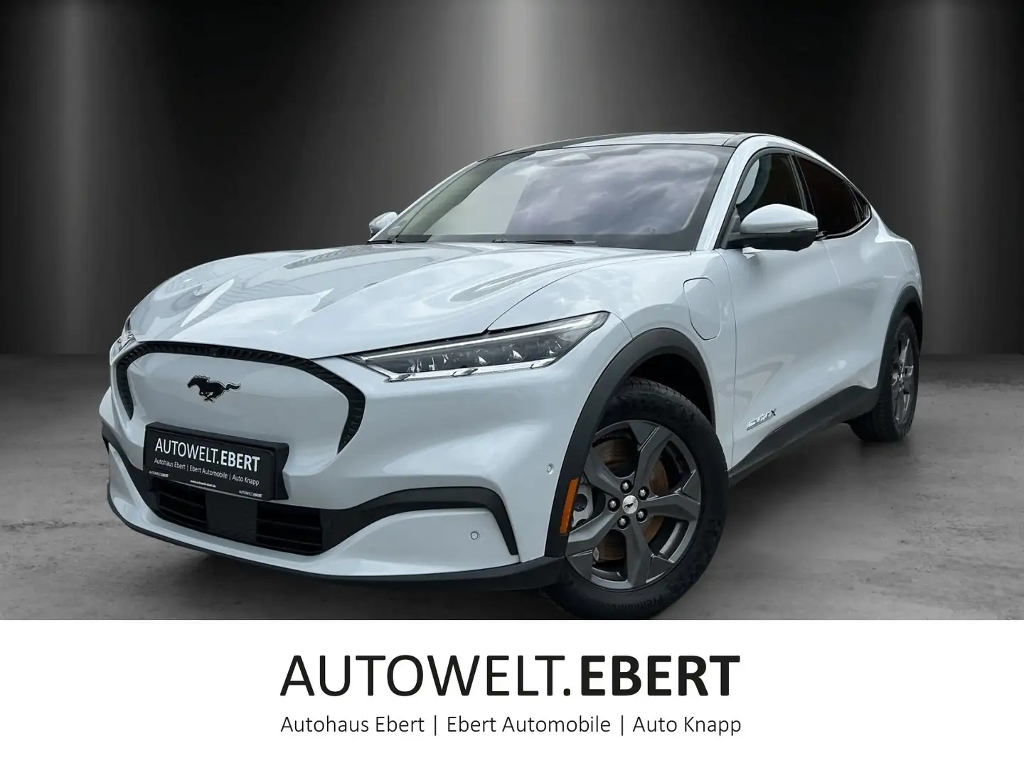 Ford Mustang Mach-E Mustang MACH-E Navi Leder Panodach White - 1