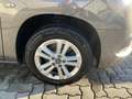 Toyota Proace City Verso L2 Family Grau - thumbnail 40