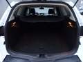 Ford Focus Wagon 1.0 EcoBoost Titanium * NIEUWE MOTOR !! Bianco - thumbnail 36