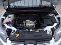 Ford Focus Wagon 1.0 EcoBoost Titanium * NIEUWE MOTOR !! Bianco - thumbnail 34