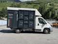 Fiat Ducato 30 2.3 MJT Trasporto Cavalli Bleu - thumbnail 6