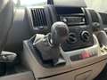 Fiat Ducato 30 2.3 MJT Trasporto Cavalli Bleu - thumbnail 20