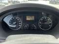 Fiat Ducato 30 2.3 MJT Trasporto Cavalli Bleu - thumbnail 32